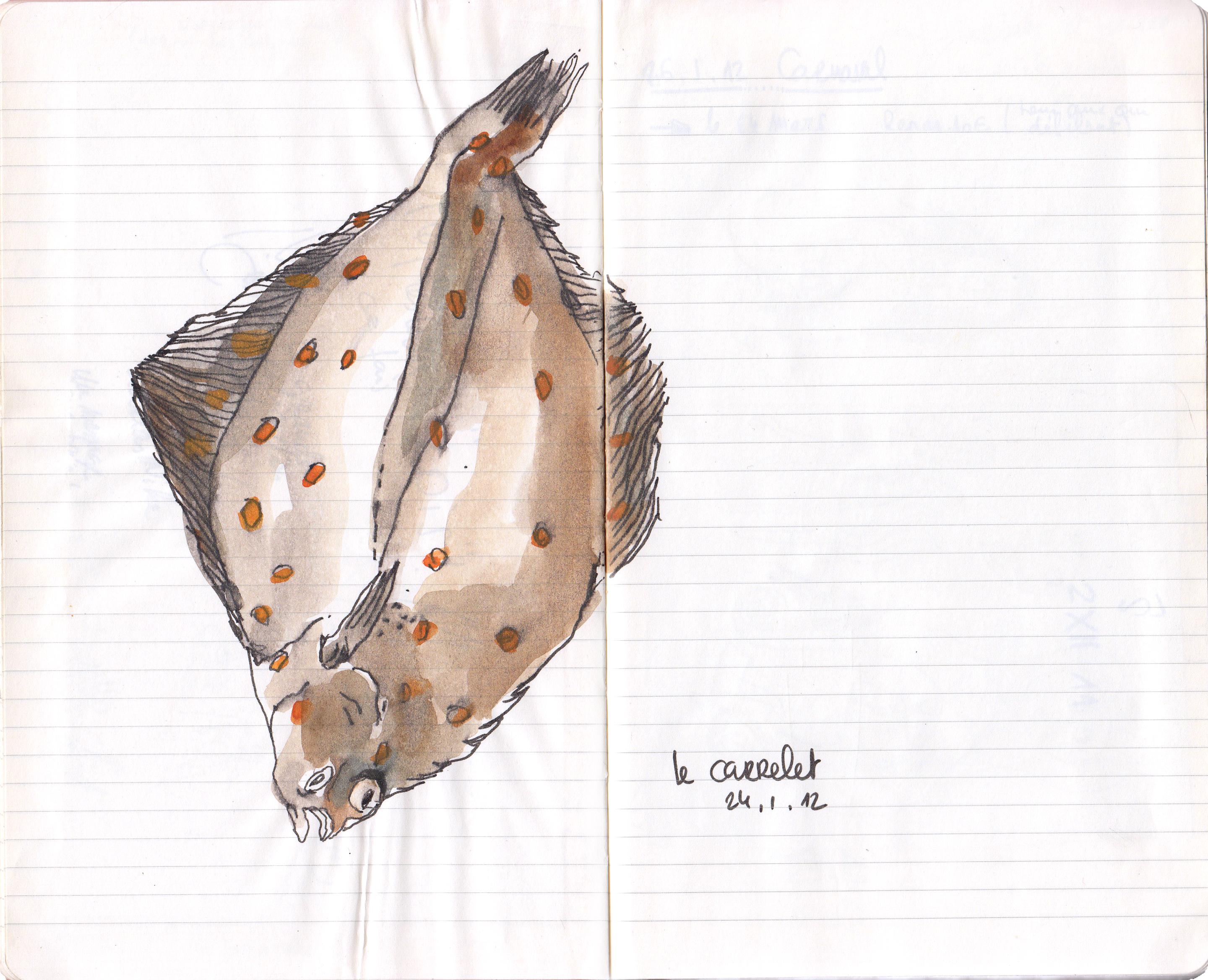 carrelet