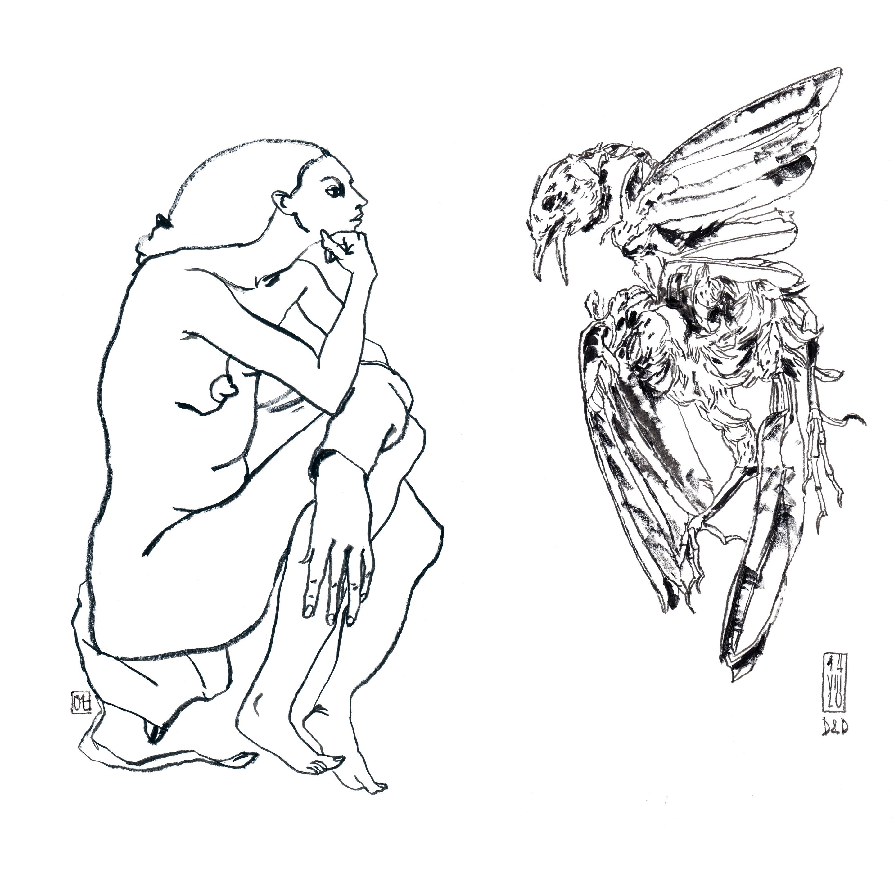 rebecca et le phenix