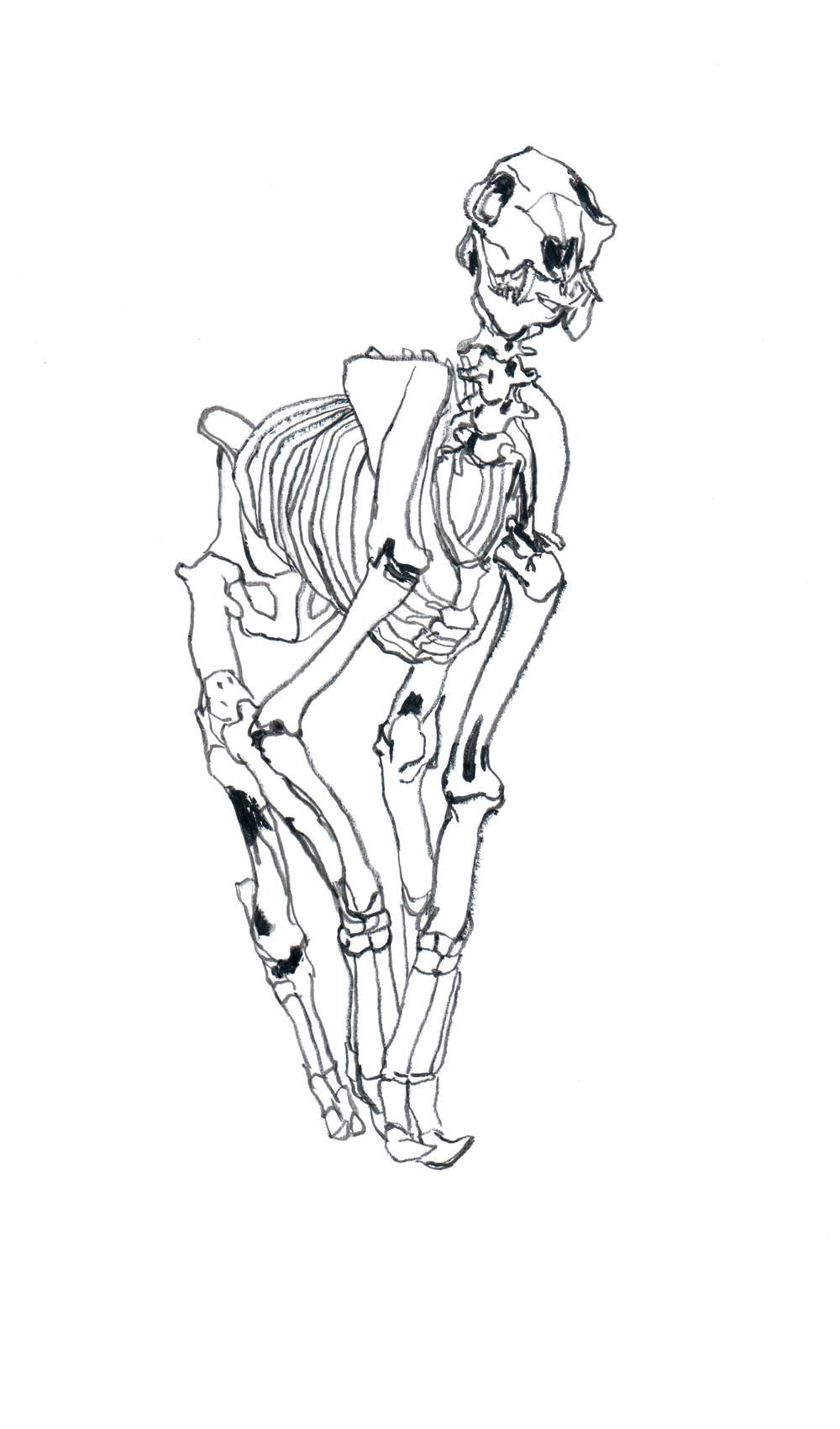 dessin de nu
